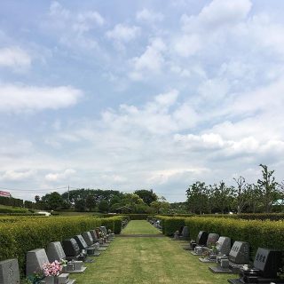May 14, 2016 at 11:47AM のInstagram