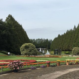 気持ちのいい遠足。絵になるね。#相模原公園