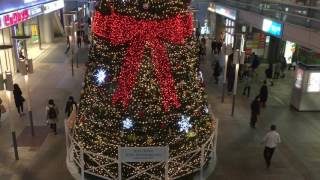 カウントダウン23 相模大野ステスクのクリスマスツリー