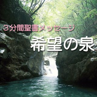 宝ものを求めて