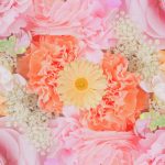 0333 6月第二日曜日の「花の日」とは?